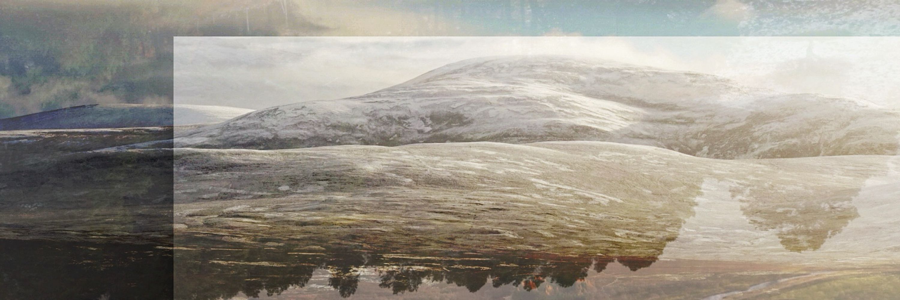 David J Lintern