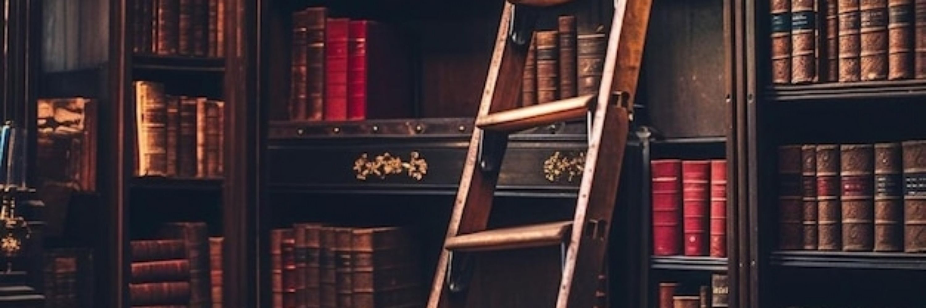 Tiny 📖