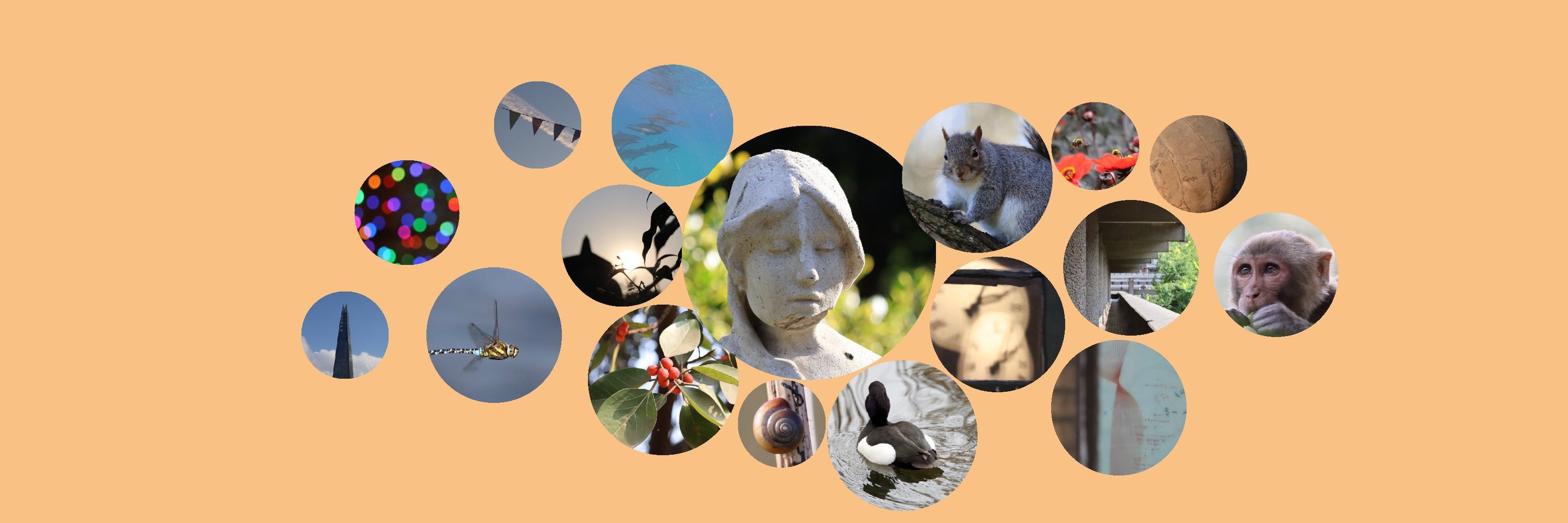 Phenomena Of Minds: RLDM 2025 workshop