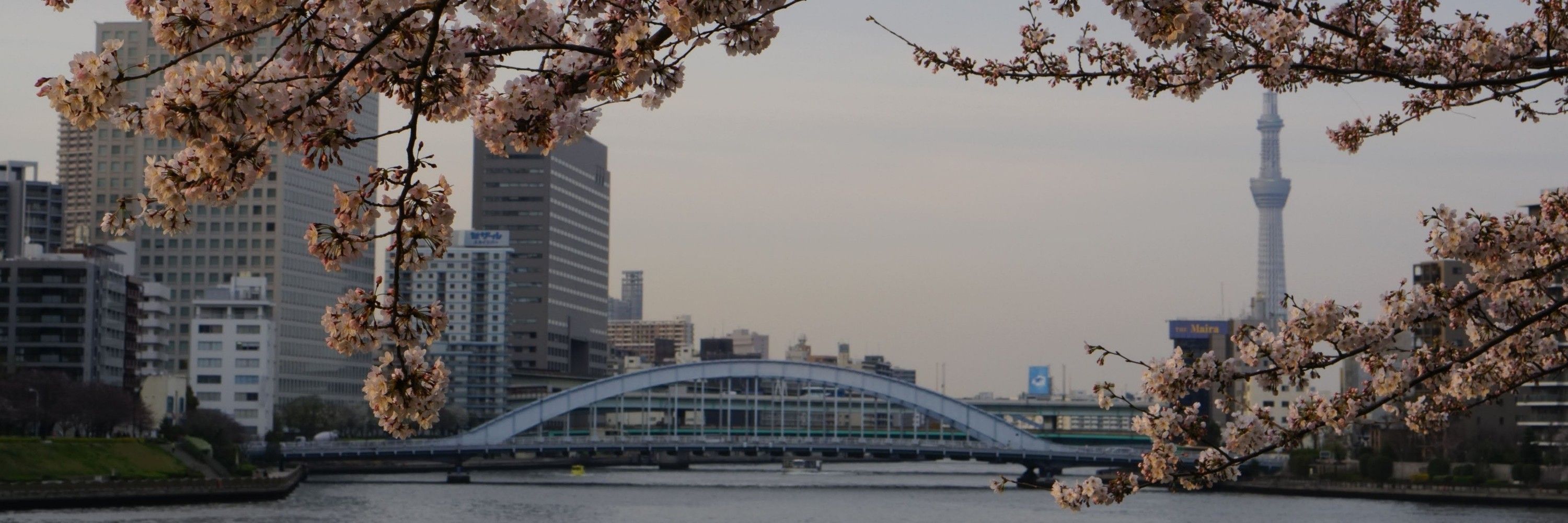 ぺ/peee