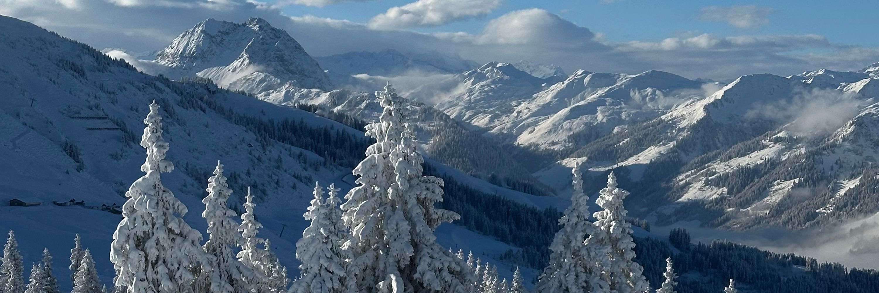 Vlad. Taraba
