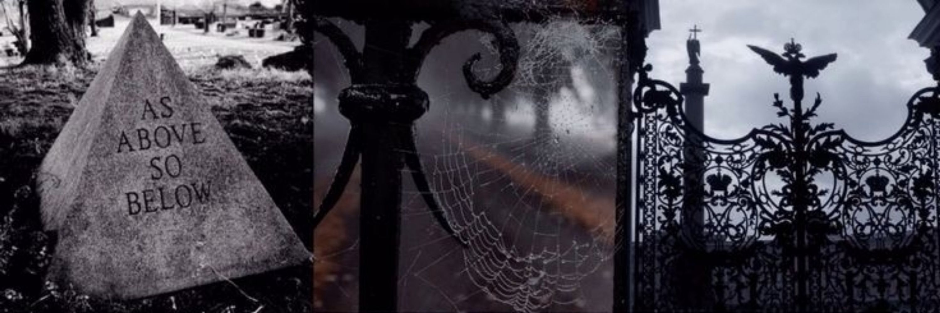 🦇𝕸𝖔𝖗𝖌𝖚𝖊🦇