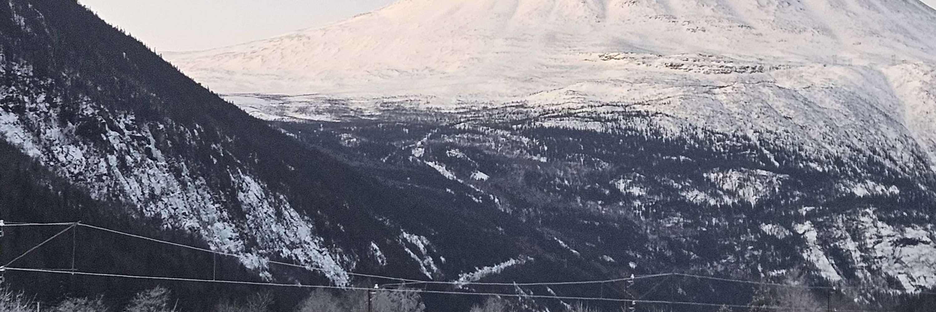 Terje Kili