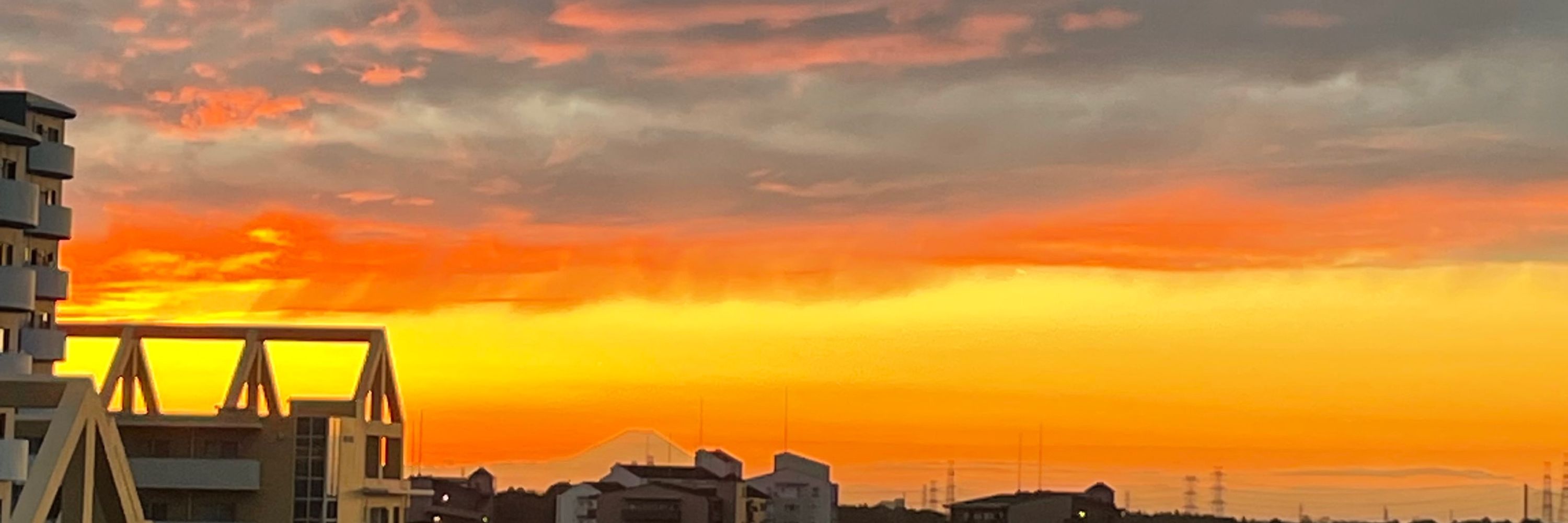 たぬつり
