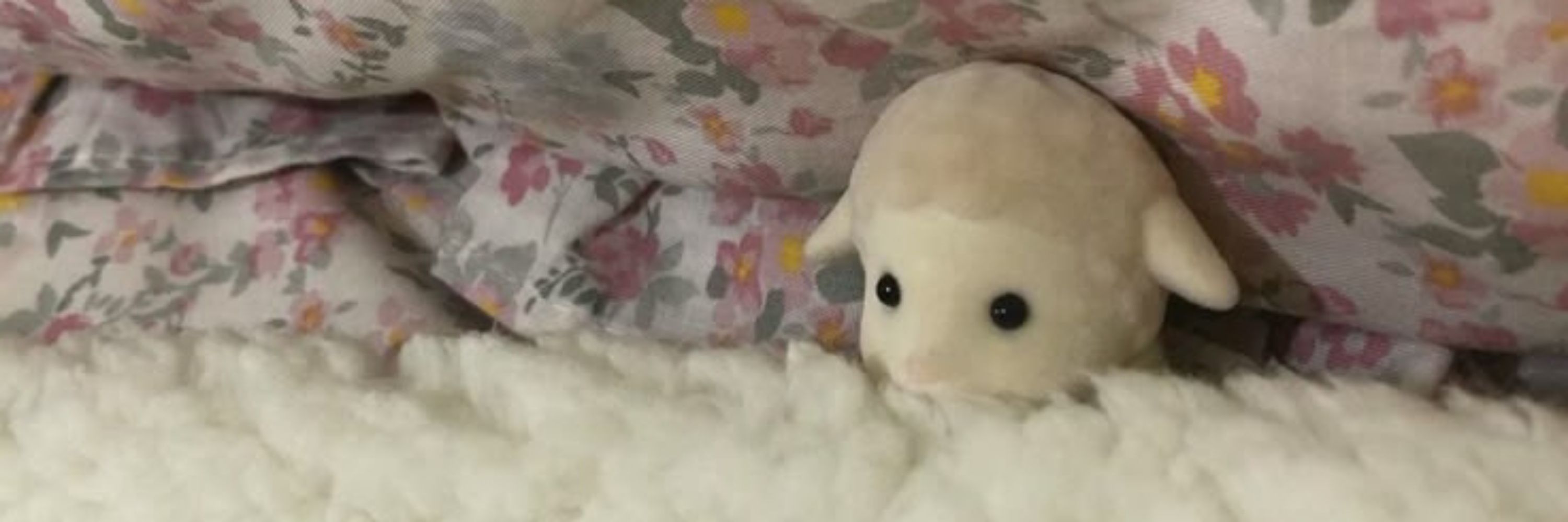 🐏сущность в виде одуванчика