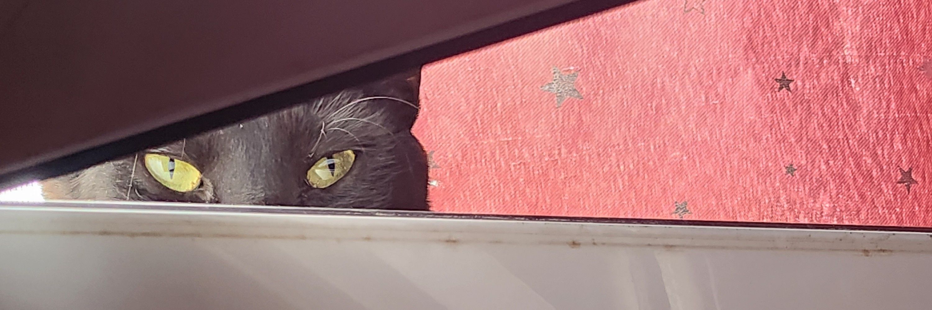 KitsuneRuby