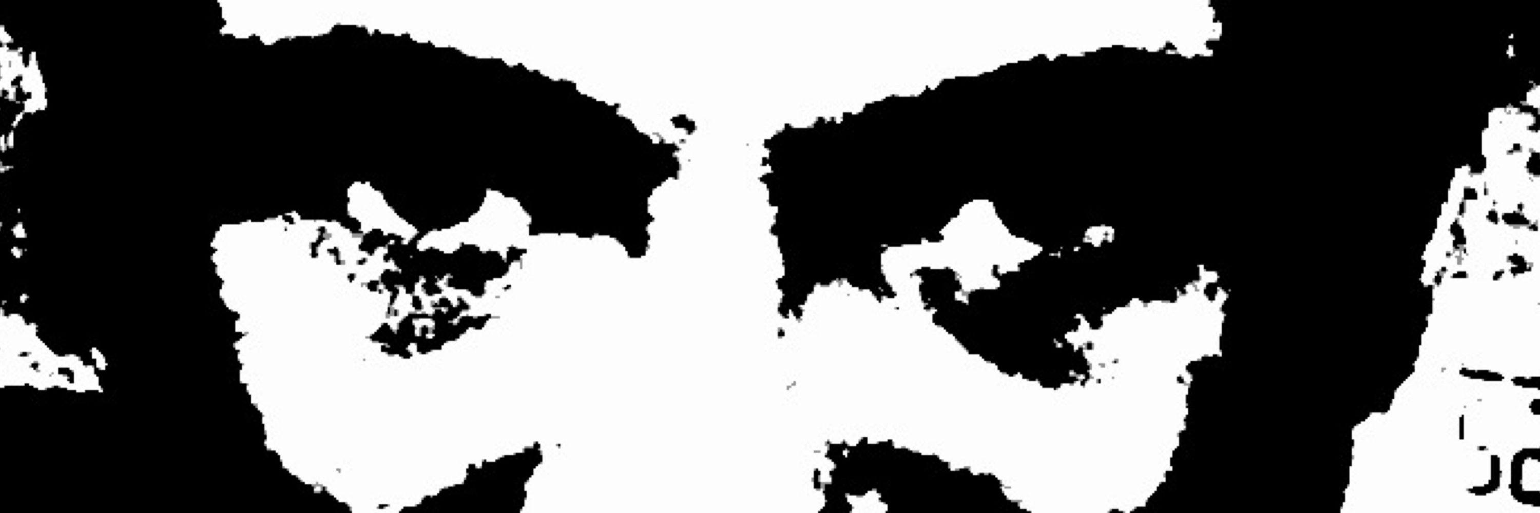 Chopicle
