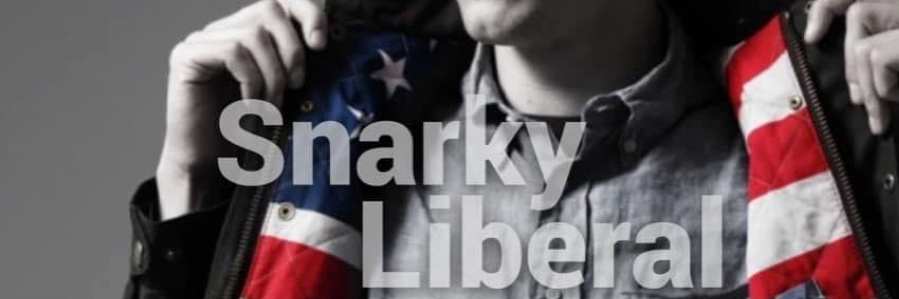 Snarky Liberal