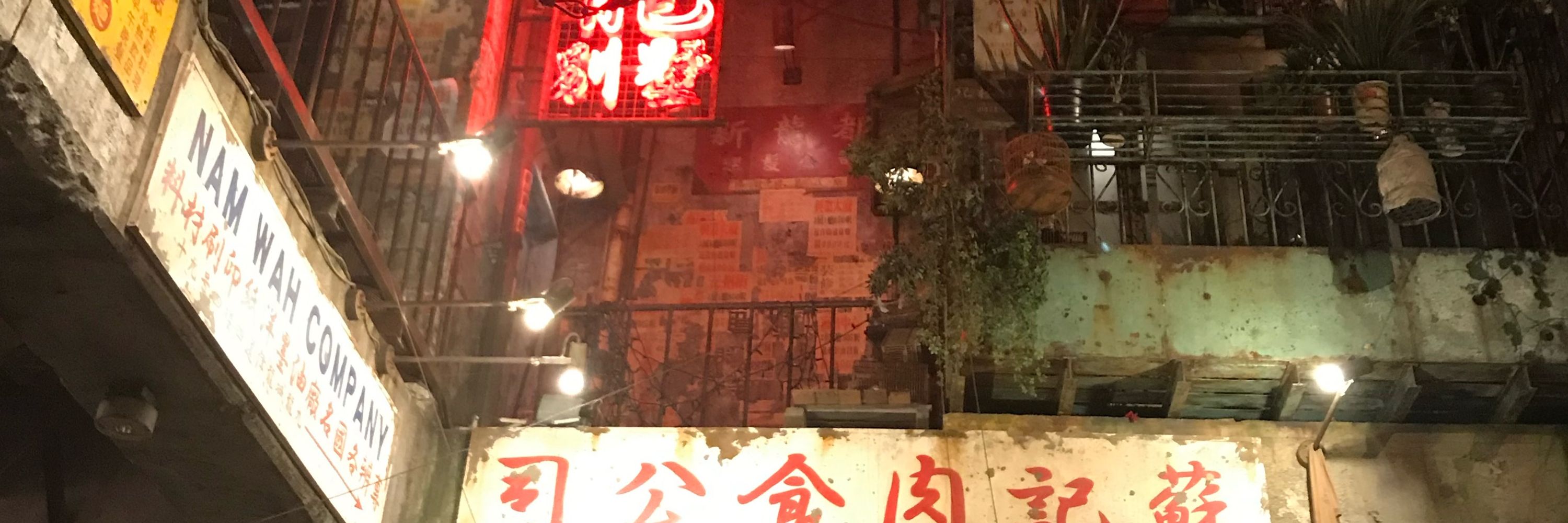 塞野