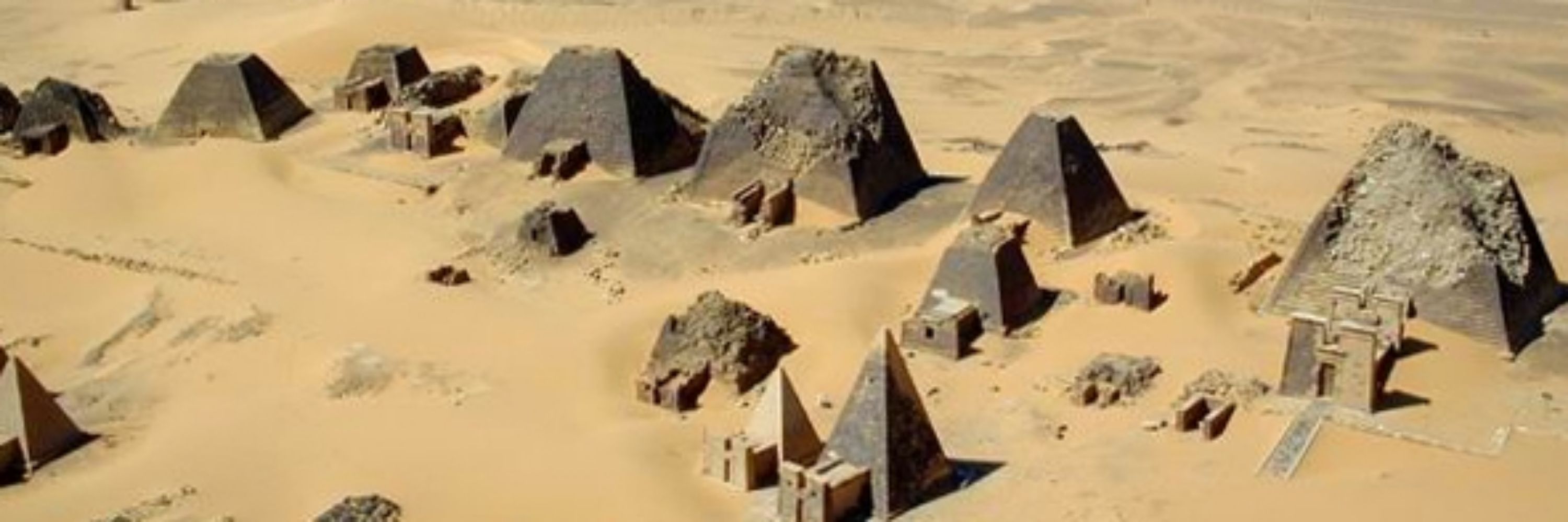À la Découverte de l'Afrique.