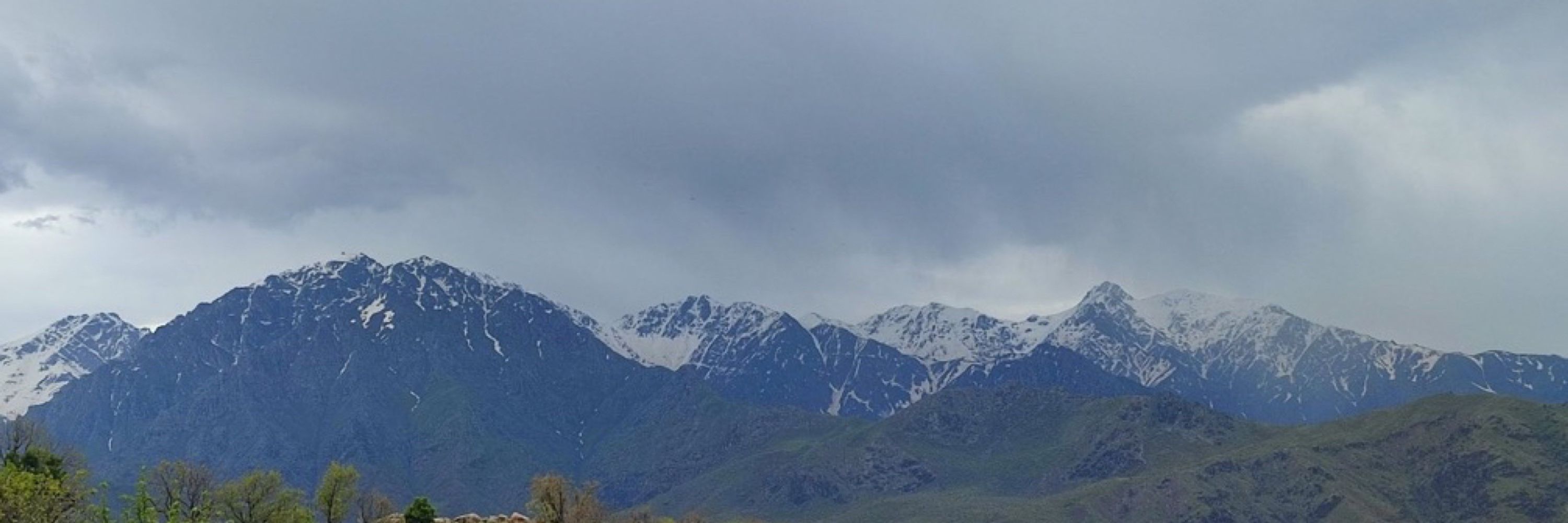 bude selkıs