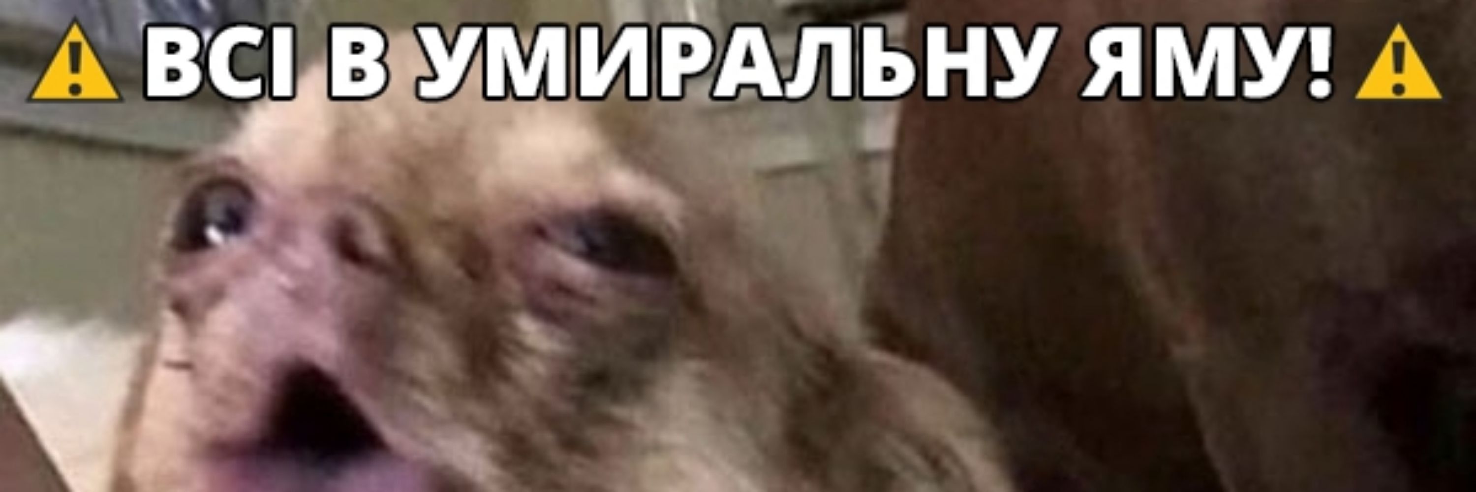 Ул
