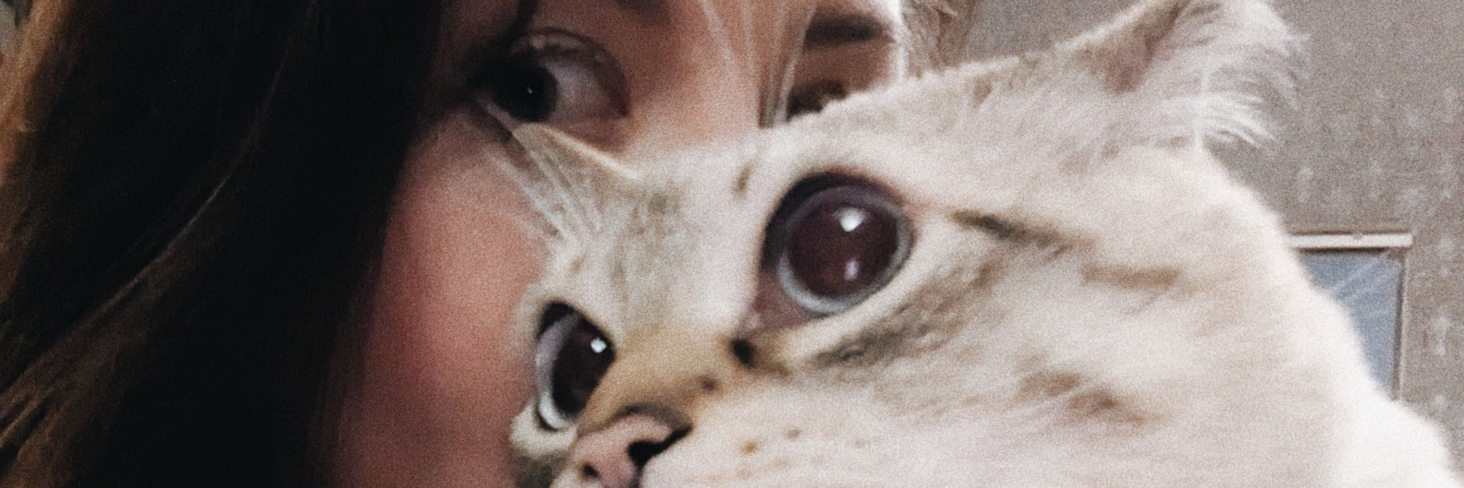 her name is Alice