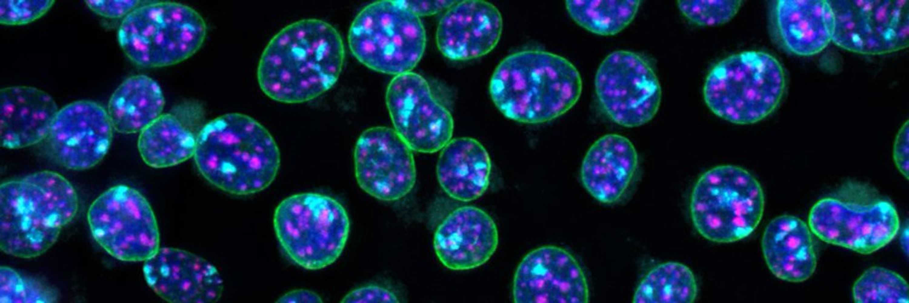Penn Epigenetics Institute