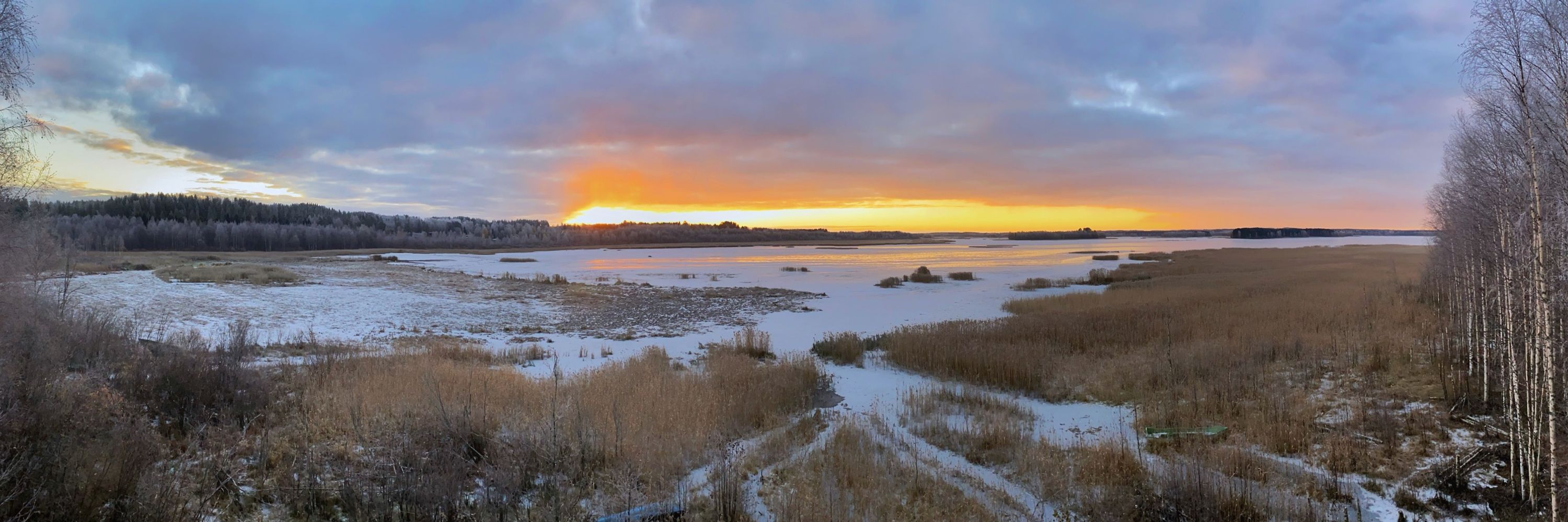 Pasi Huttunen