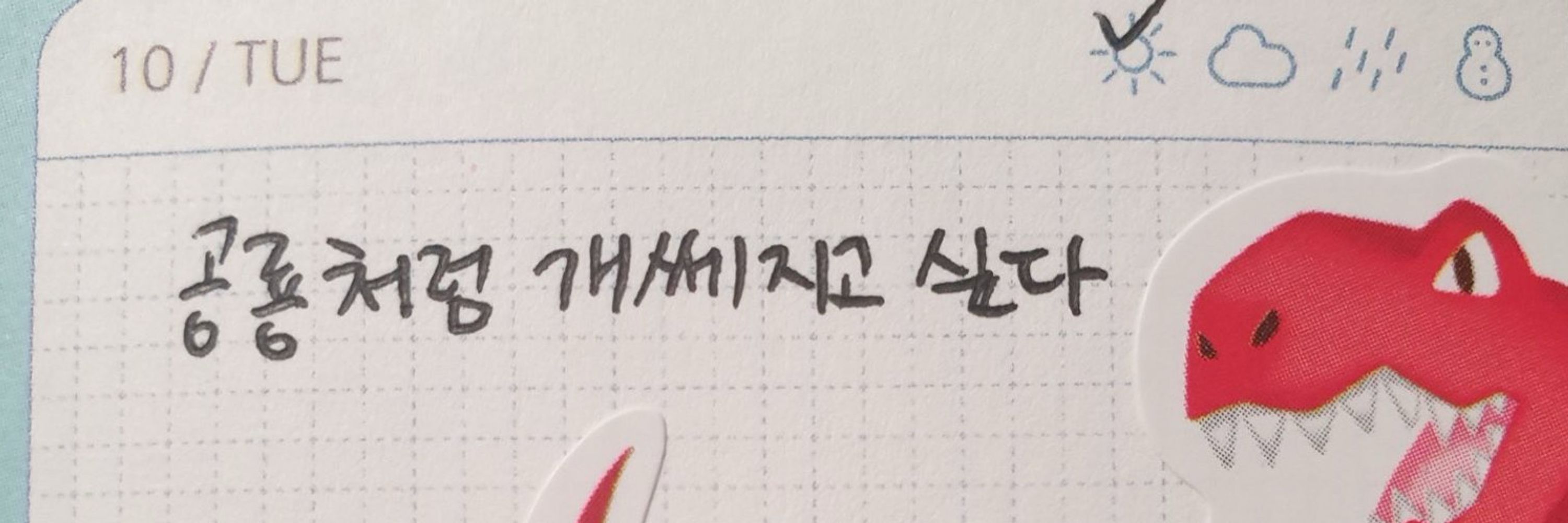 백뽈