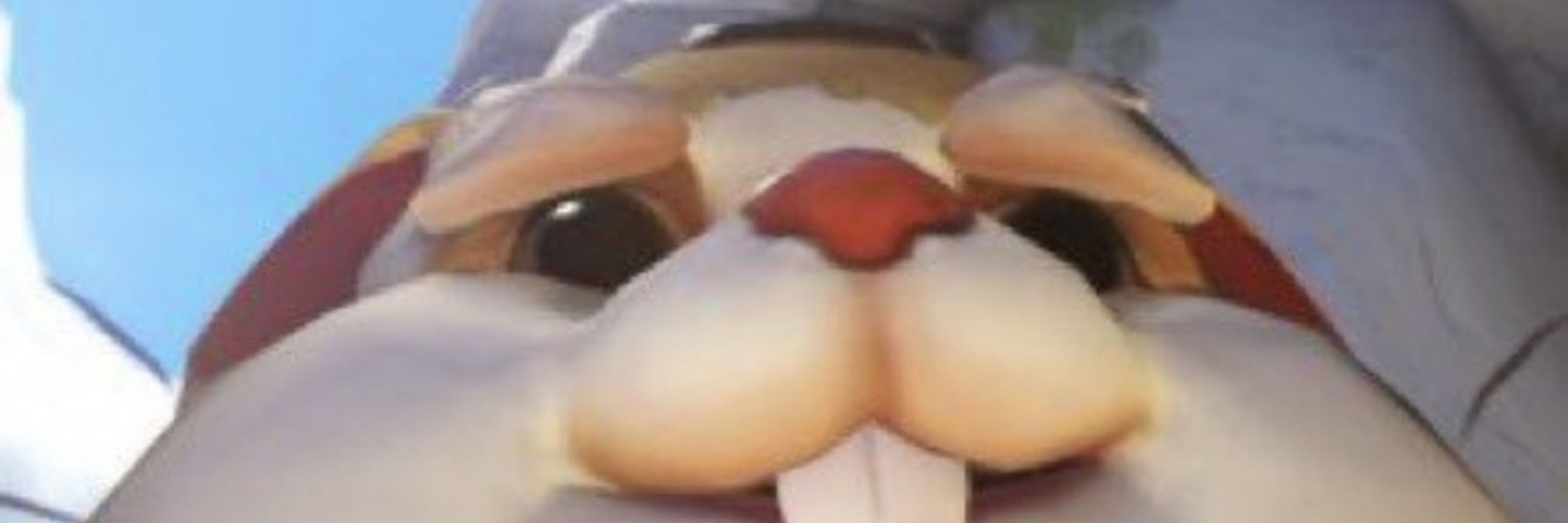 Zebuzinho 