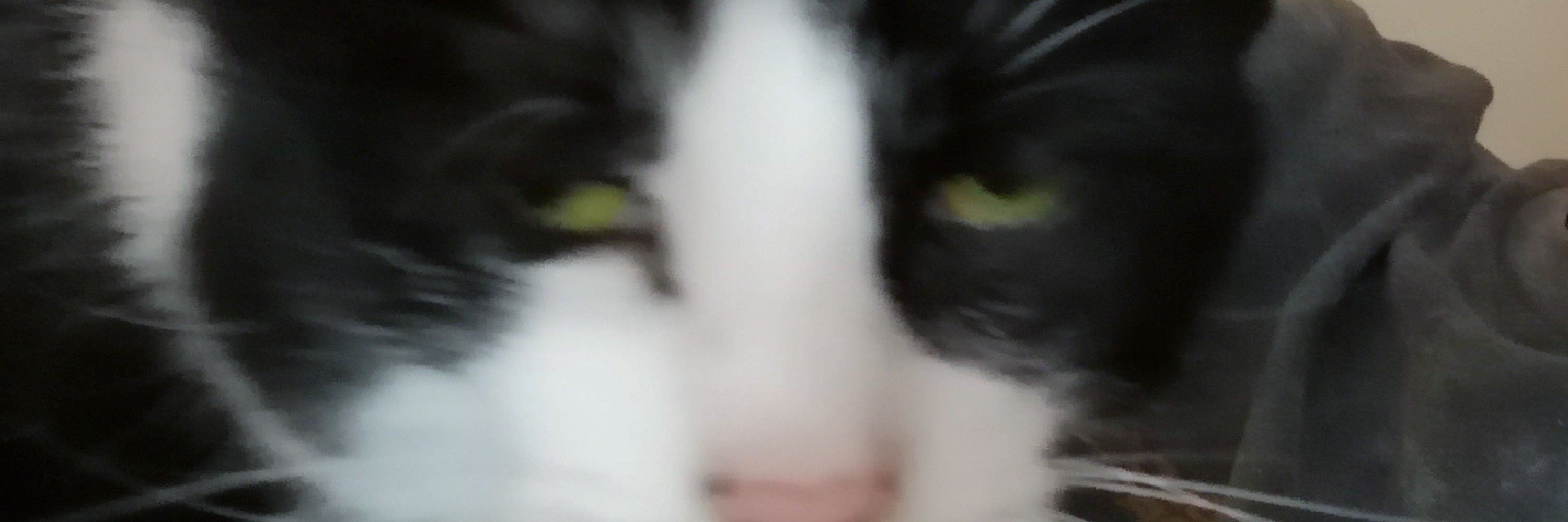 Tom