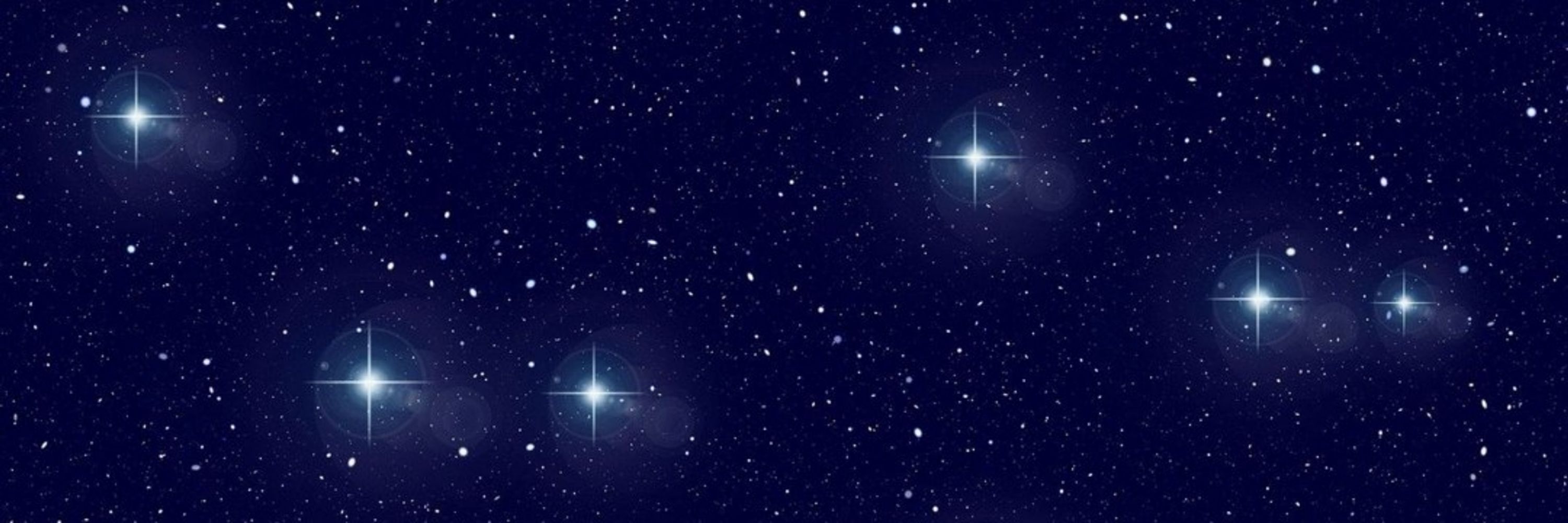 ✨Starlia✨