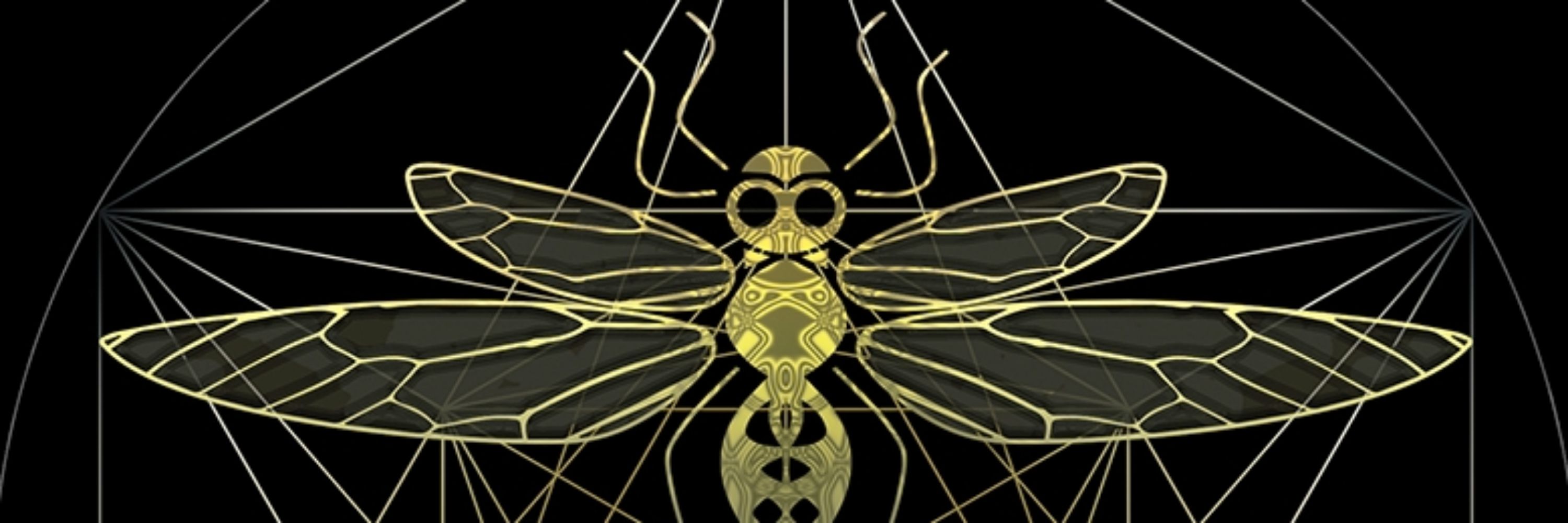 Dragonfly Records