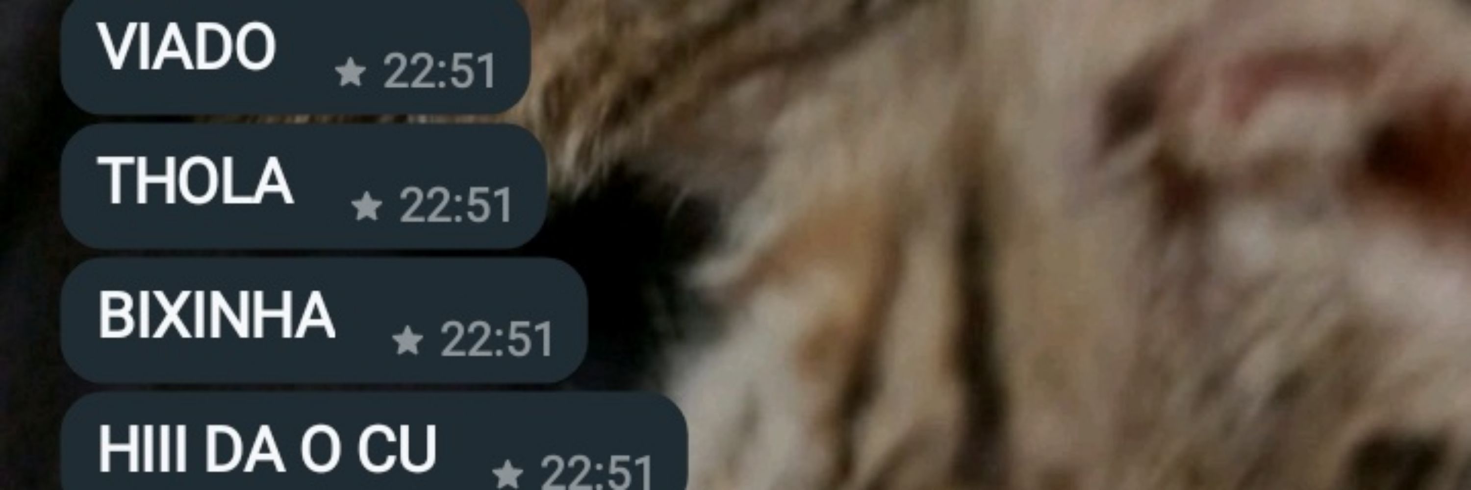 jenni próxima presidente