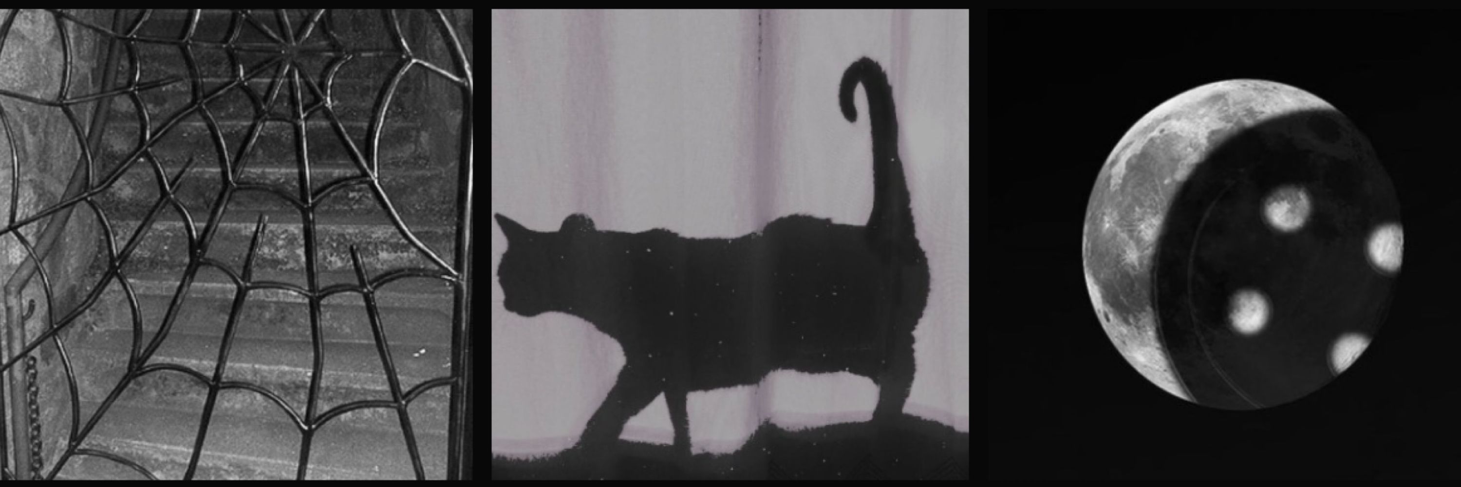 kitty ⊹₊⟡⋆