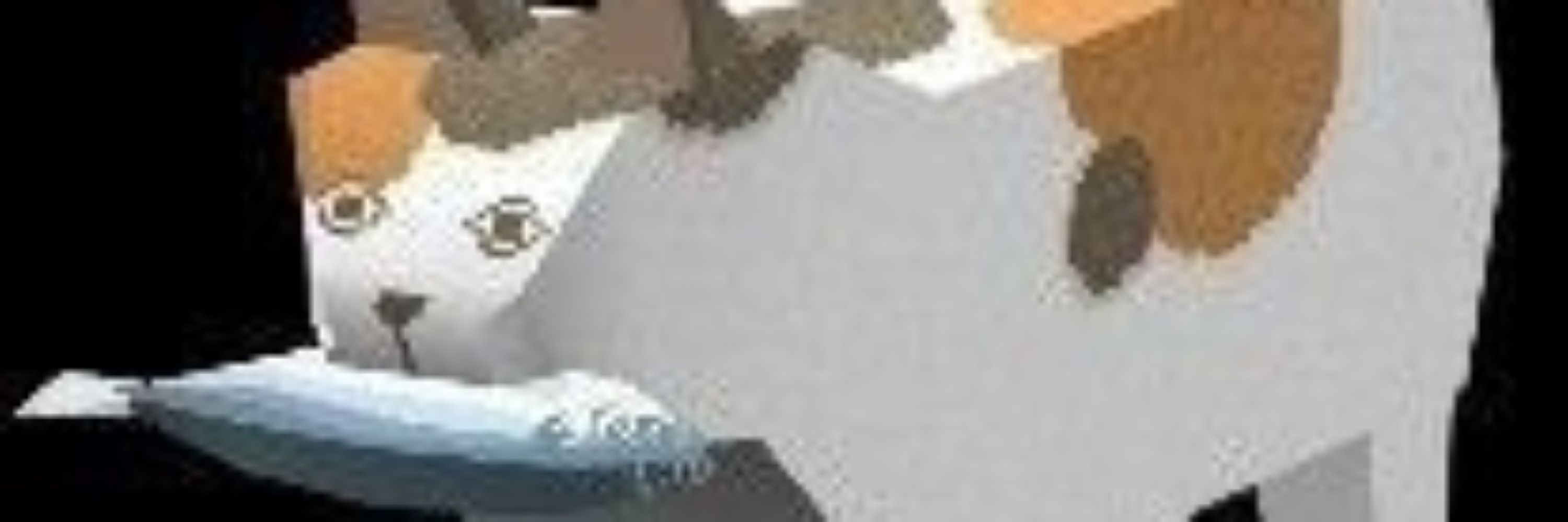 Might be Alex