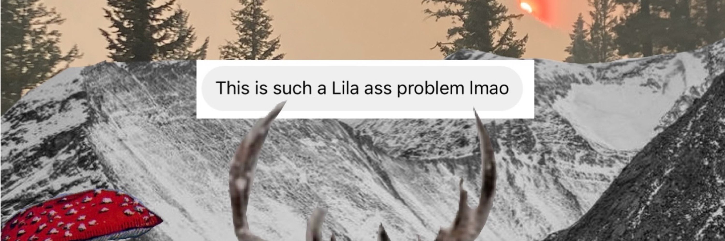 lila danielsen wong