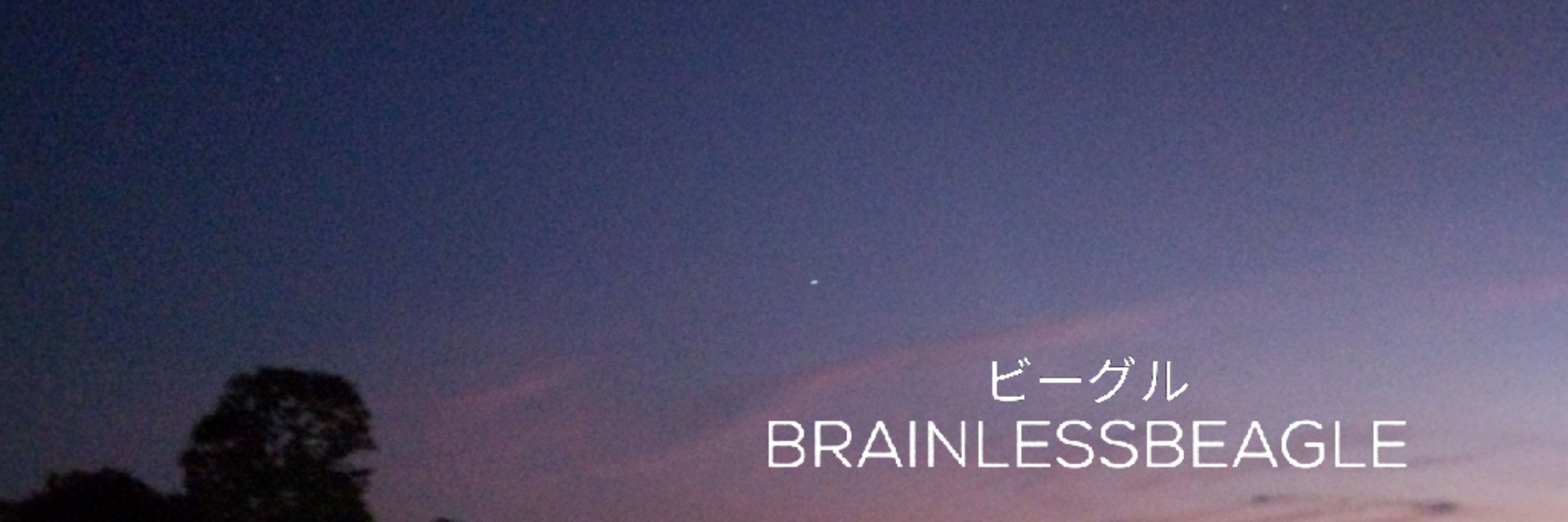 BrainlessBeagle 🇧🇷