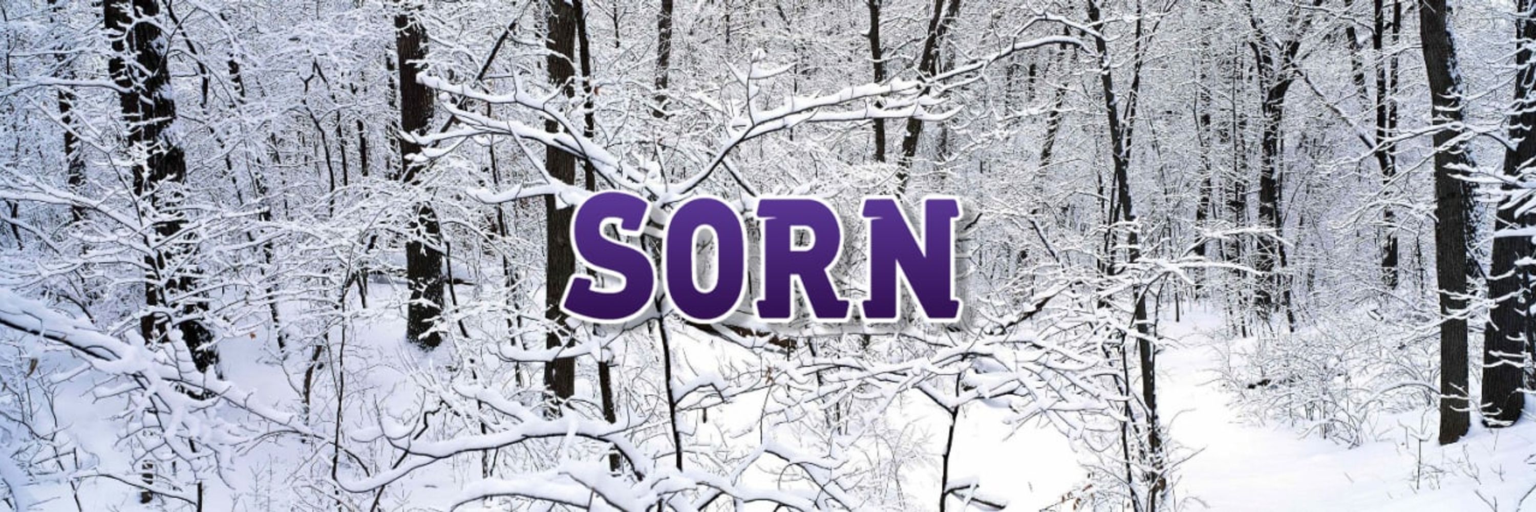 👑 Sorn! 🔞