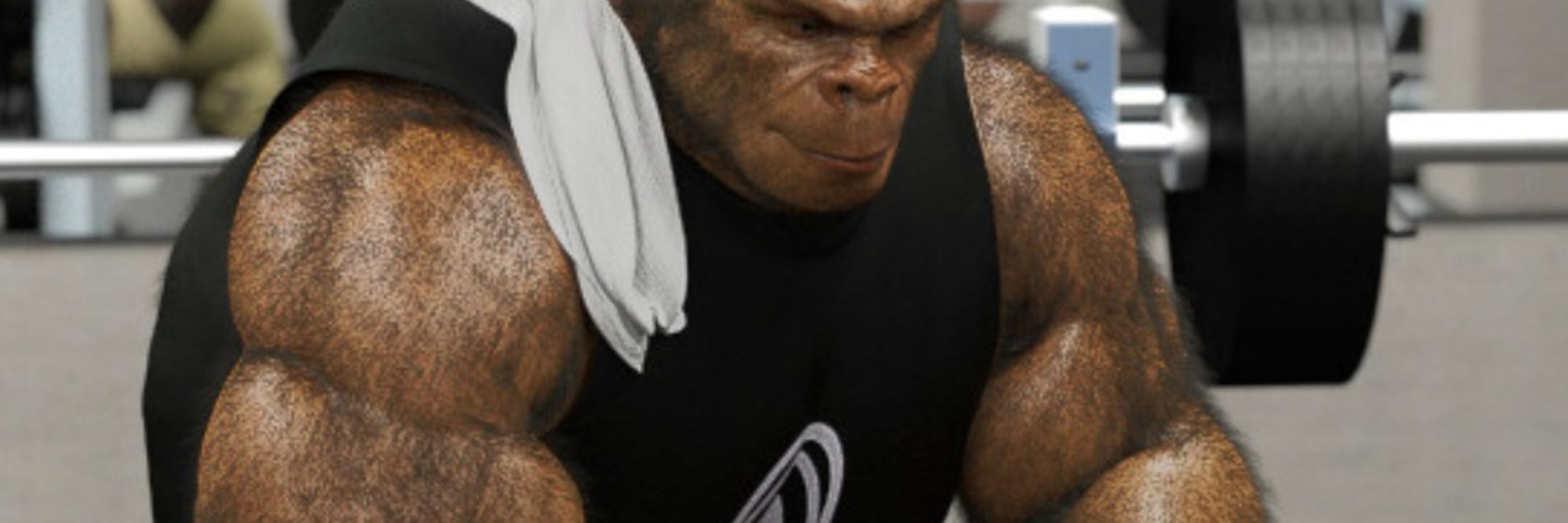 Lokan