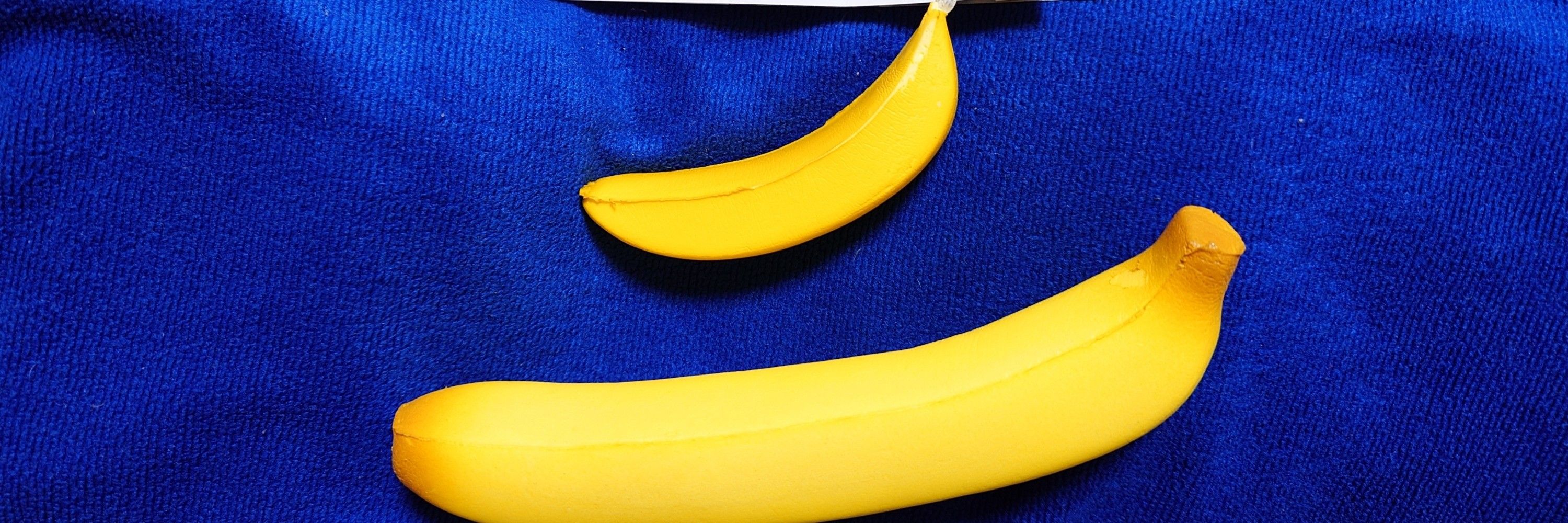 アーサー🍌