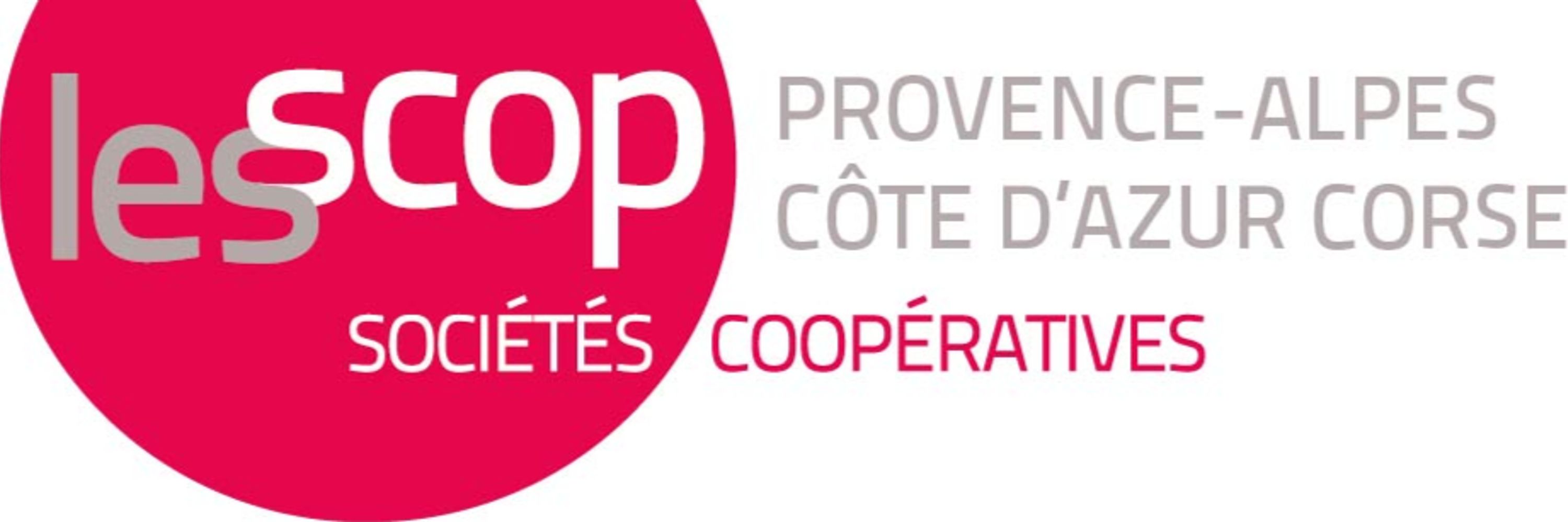 Daniel, accompagnateur à la Transition des entreprises