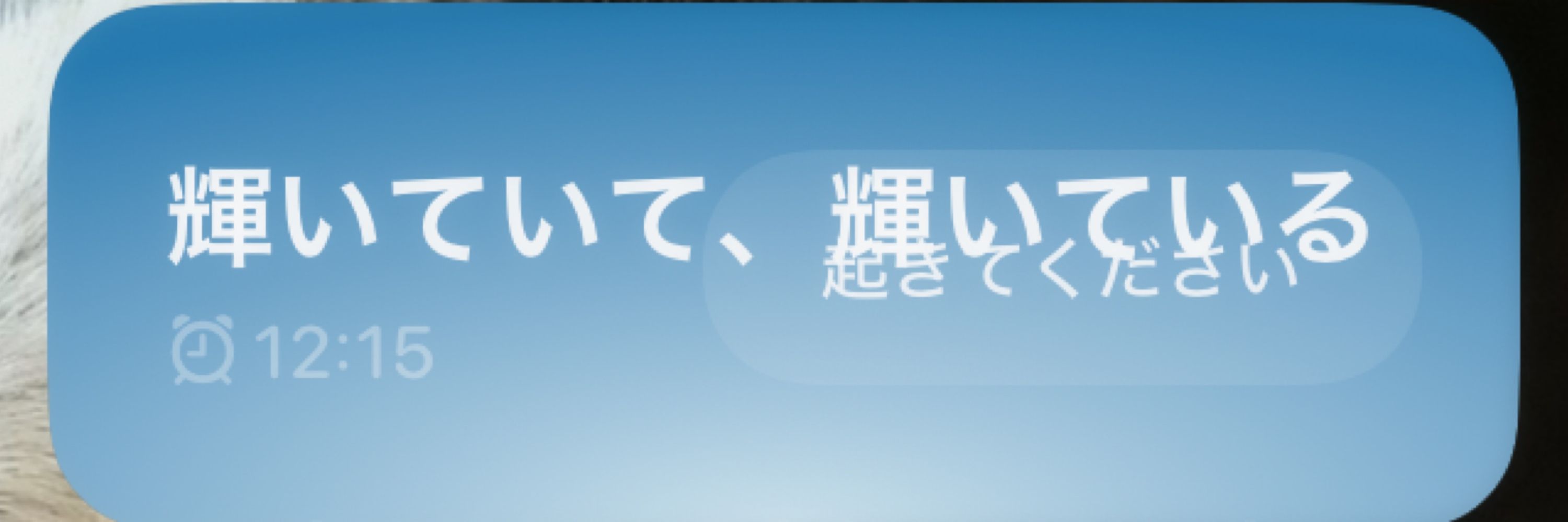 シロクマにゃんコ