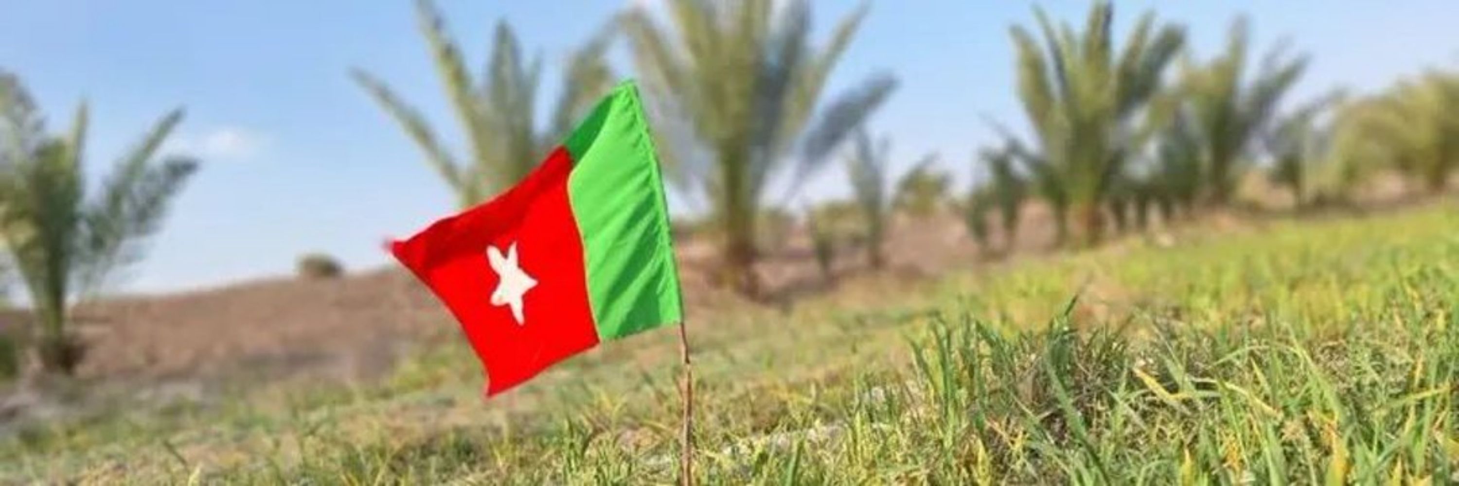 Rayhan Baloch