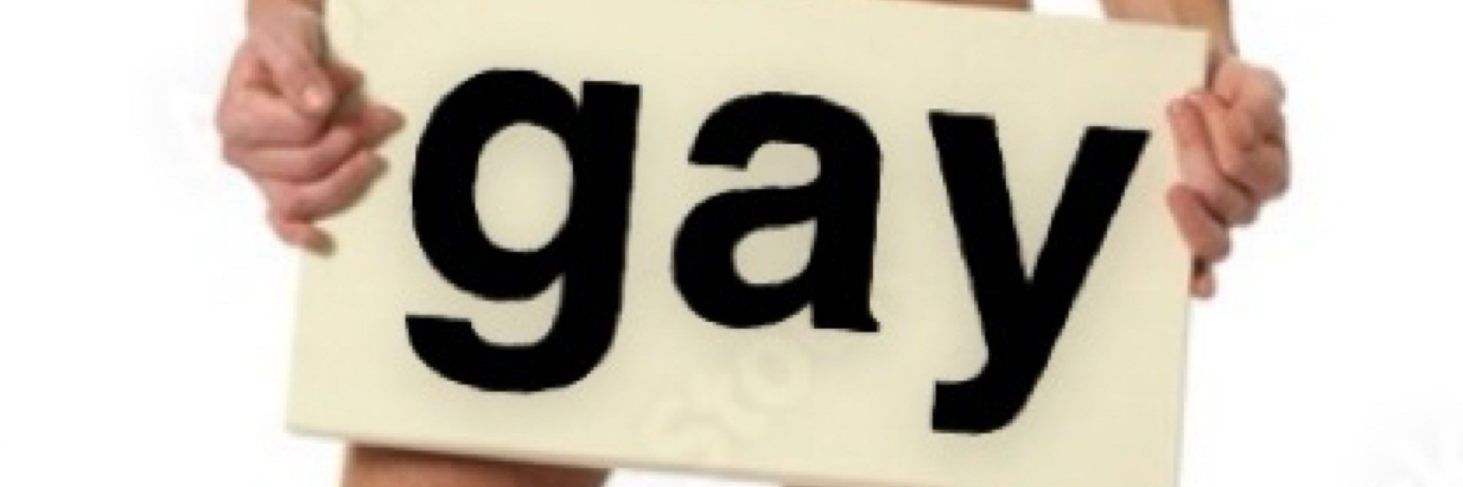 homosexual ★彡