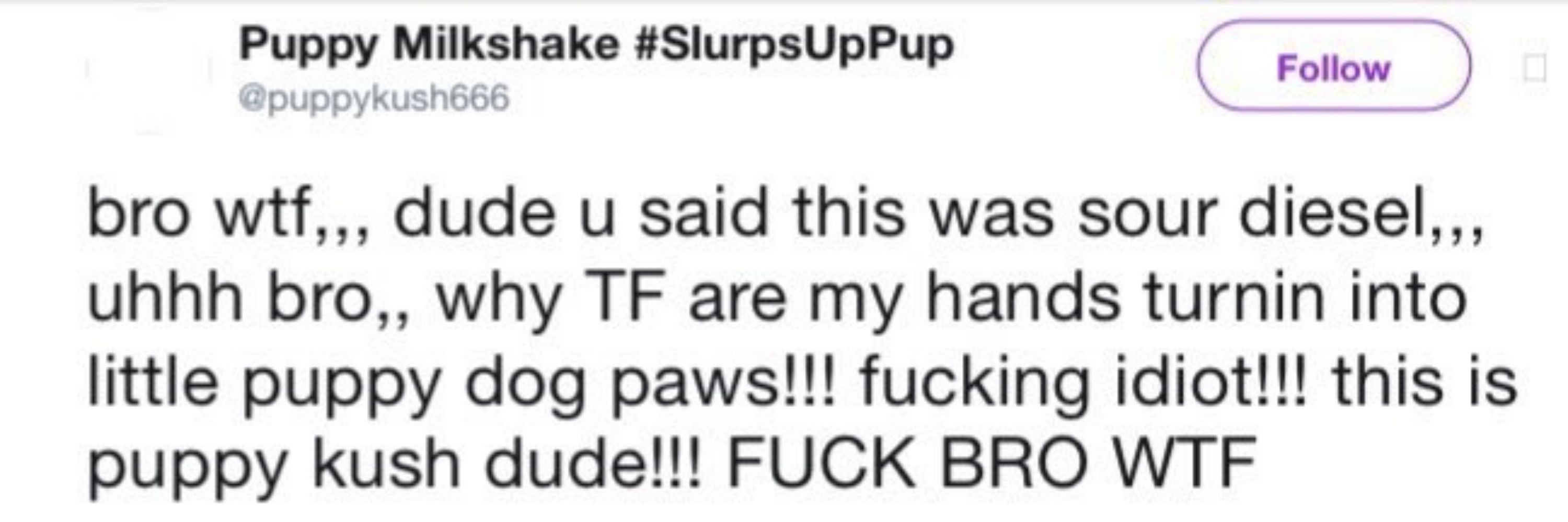 Cooper the Puppy Slut