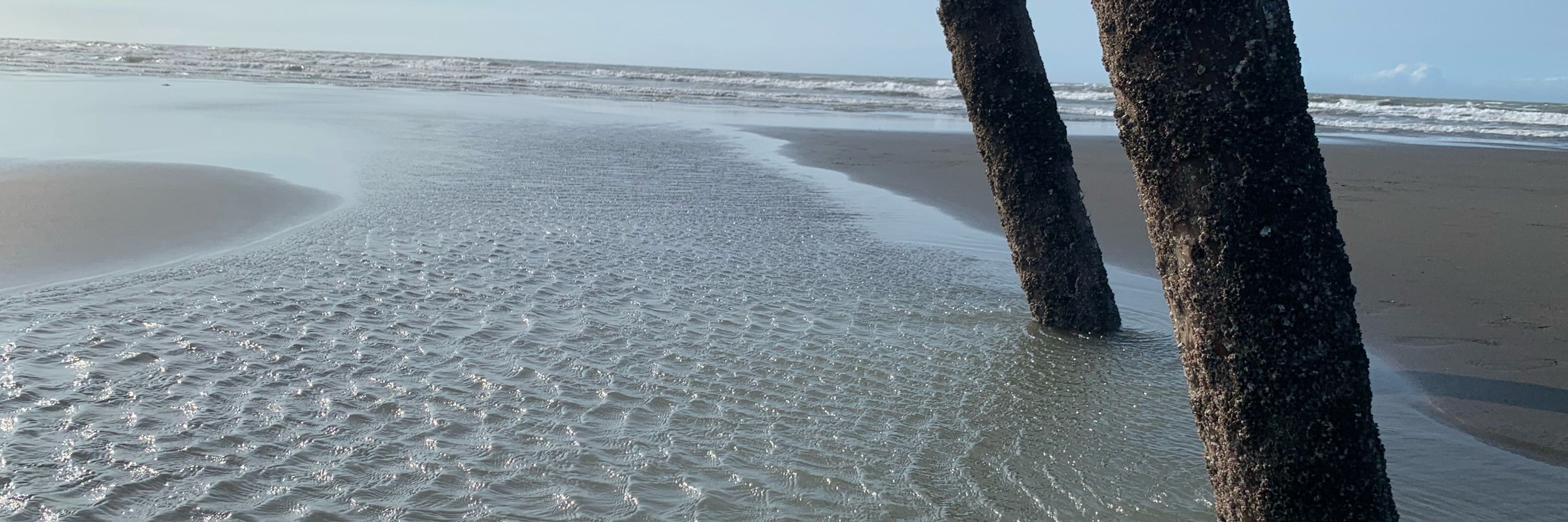 🌊