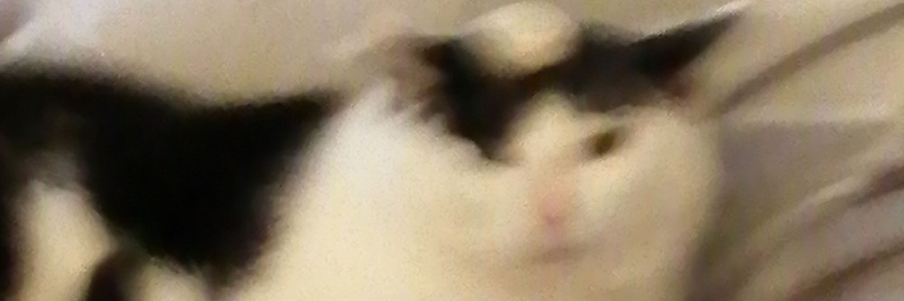 (･ิω･ิ)