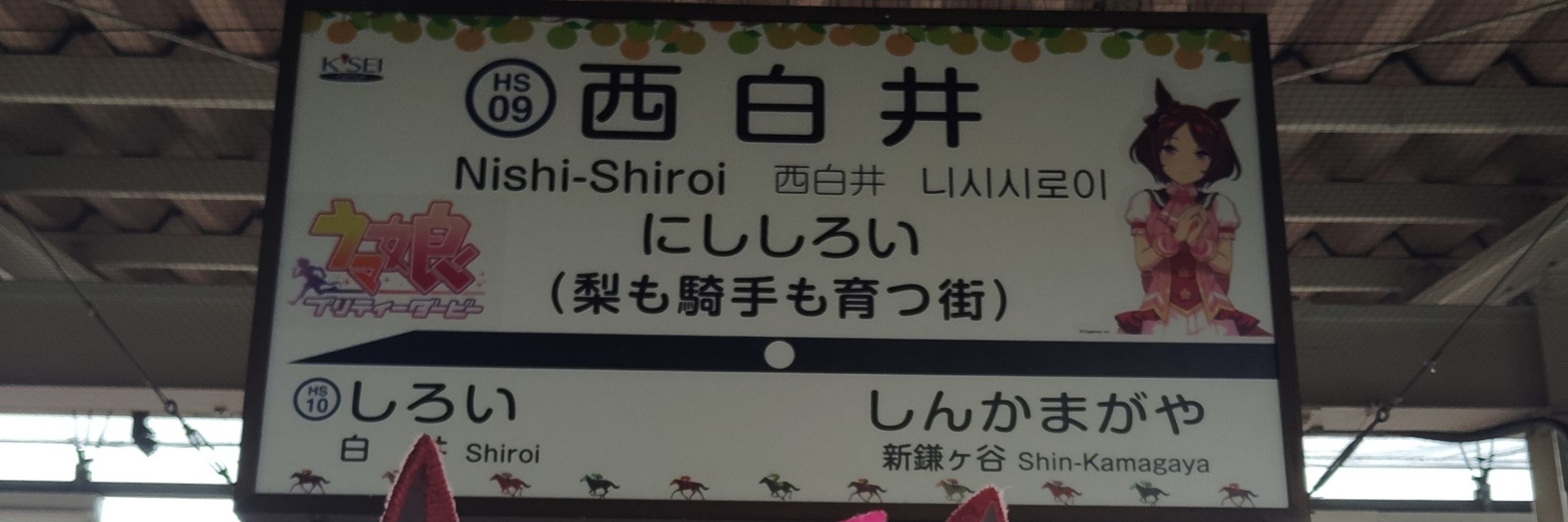 トウカイテイオー