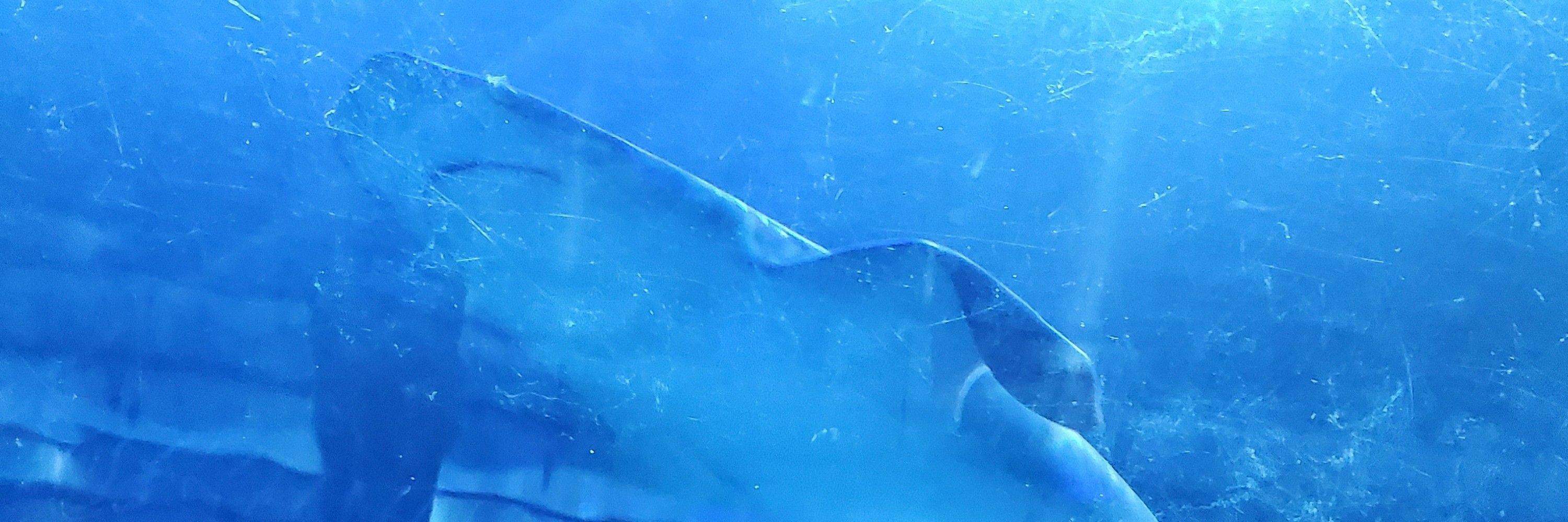 🖤💙🦈 Dark 🦈💙🖤