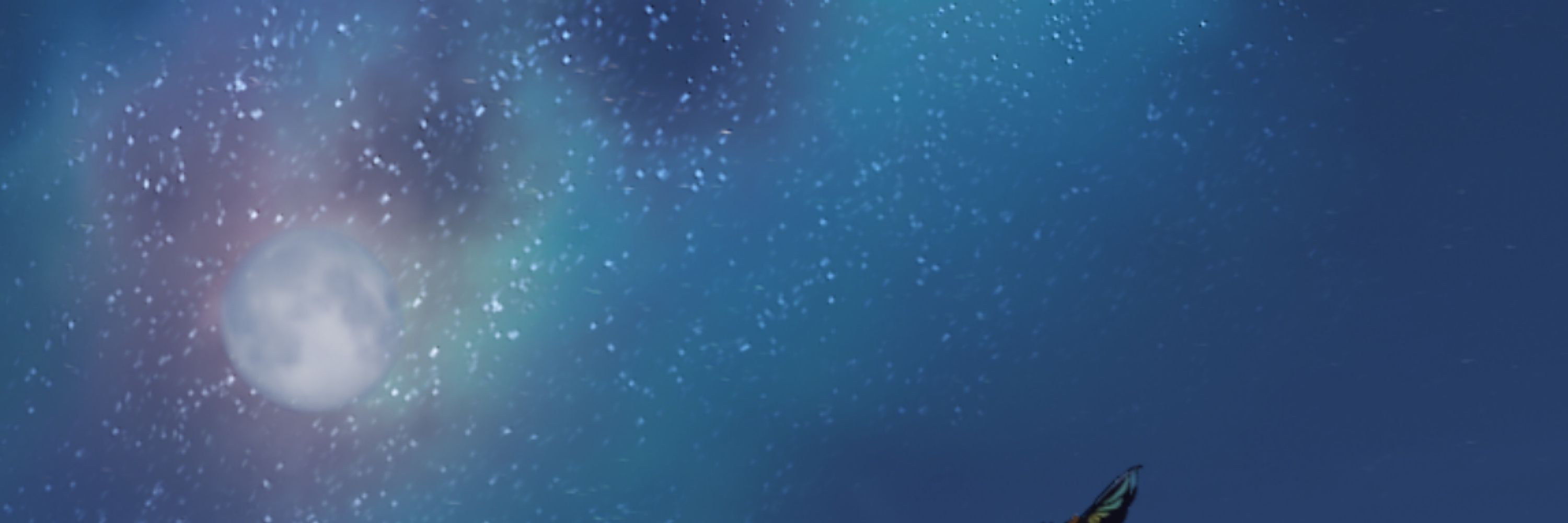星空。