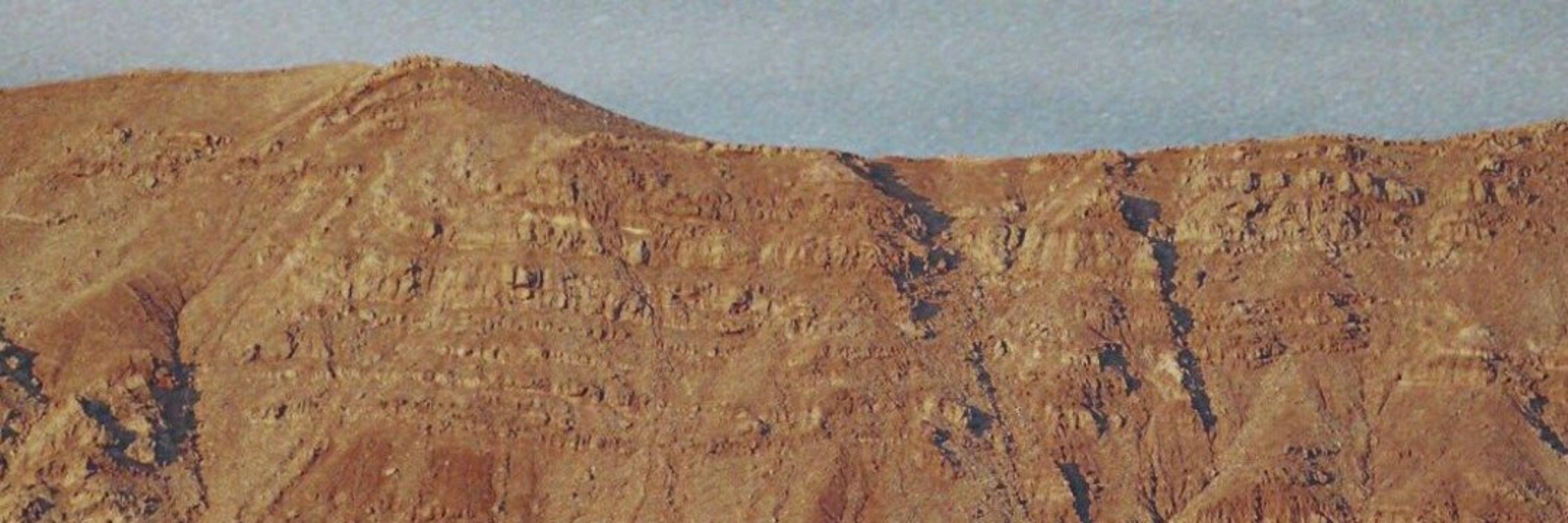 نسیمِ سَحَری 🌿