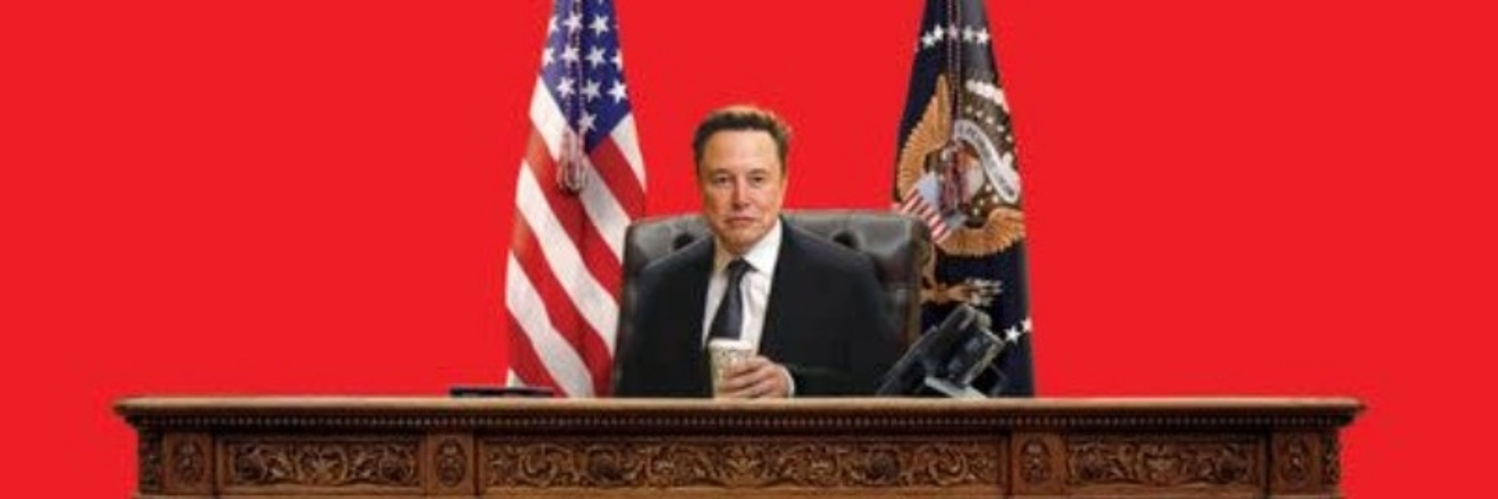 BatSquirrelManor