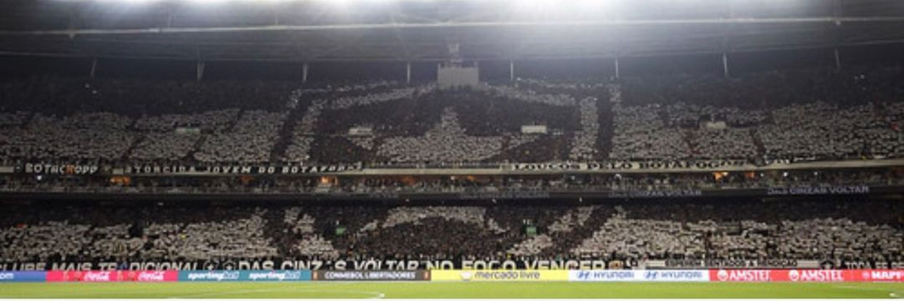 Botafogo Hinchas