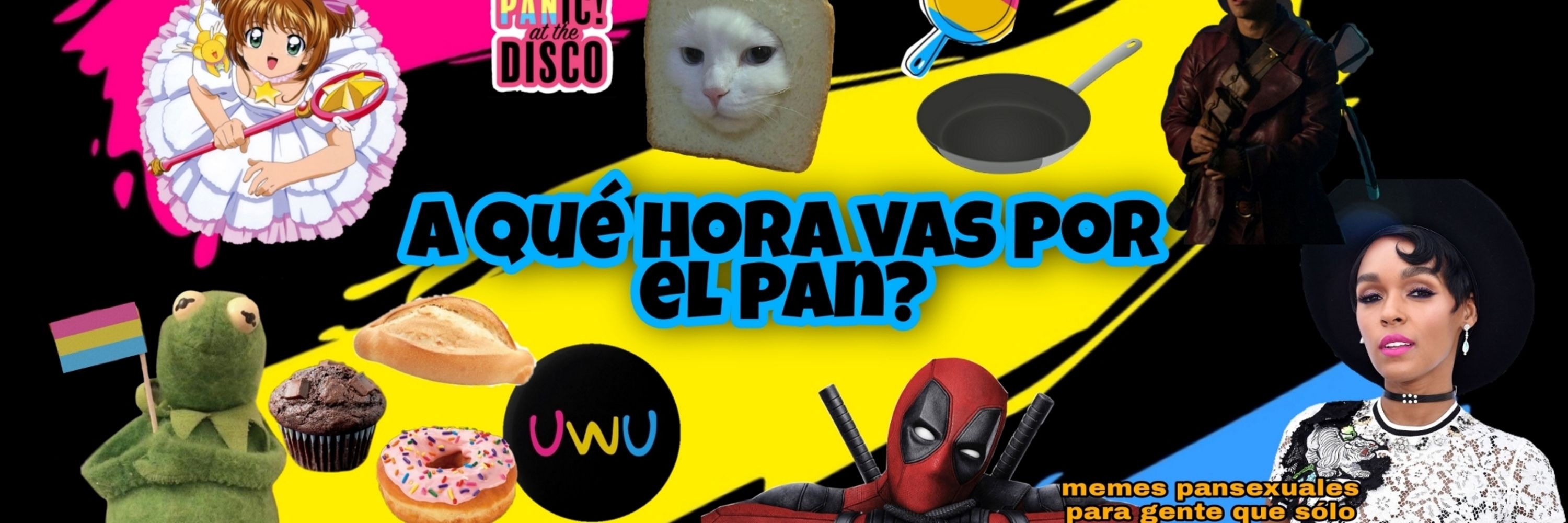 Memes pansexuales para gente que sólo quiere amor