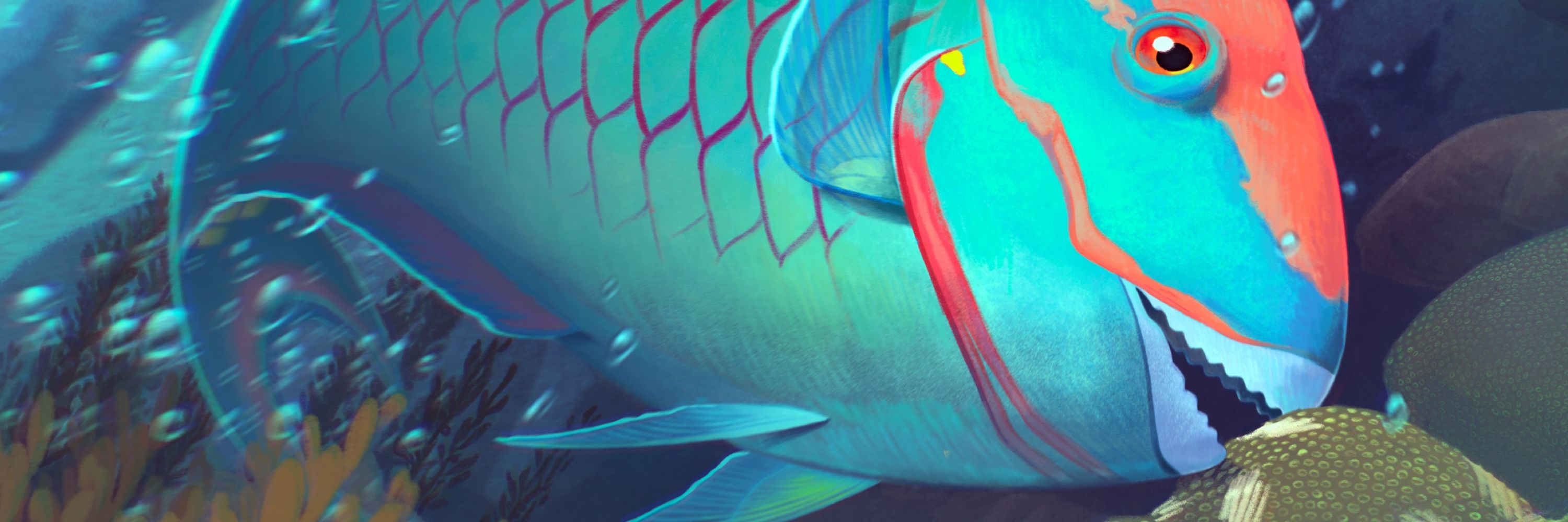 Benthos - A Game of Underwater Intrigue