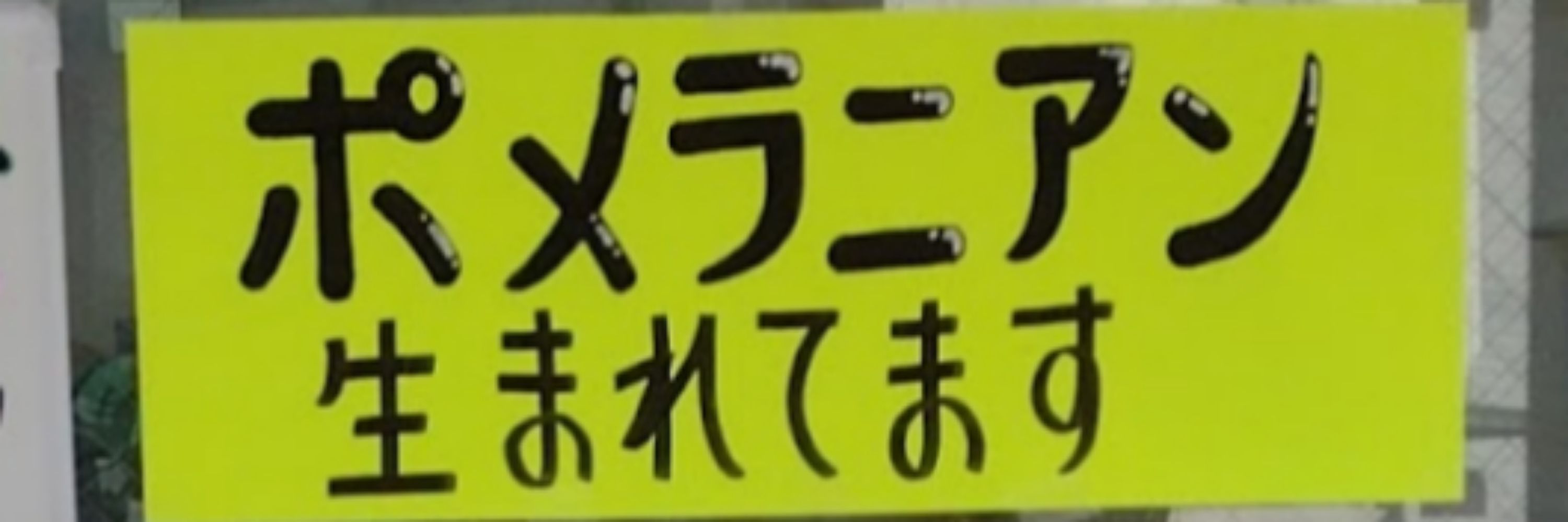 ベーブレイド