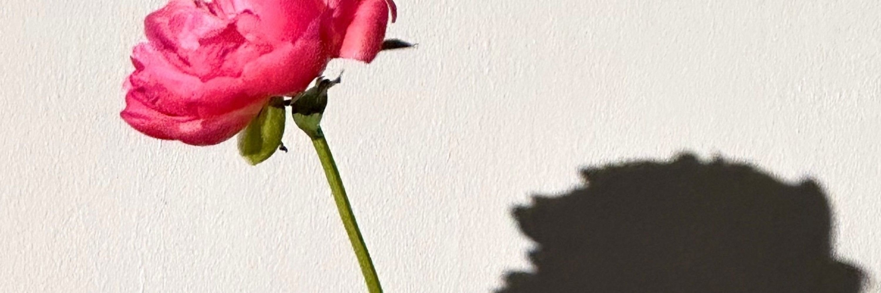 el