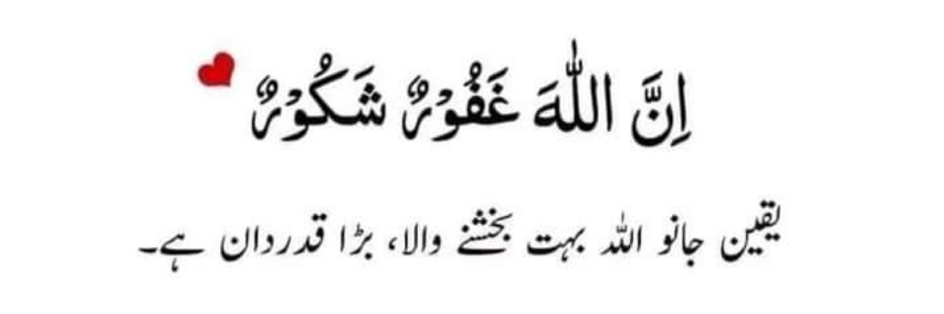 Rehman ali chattha